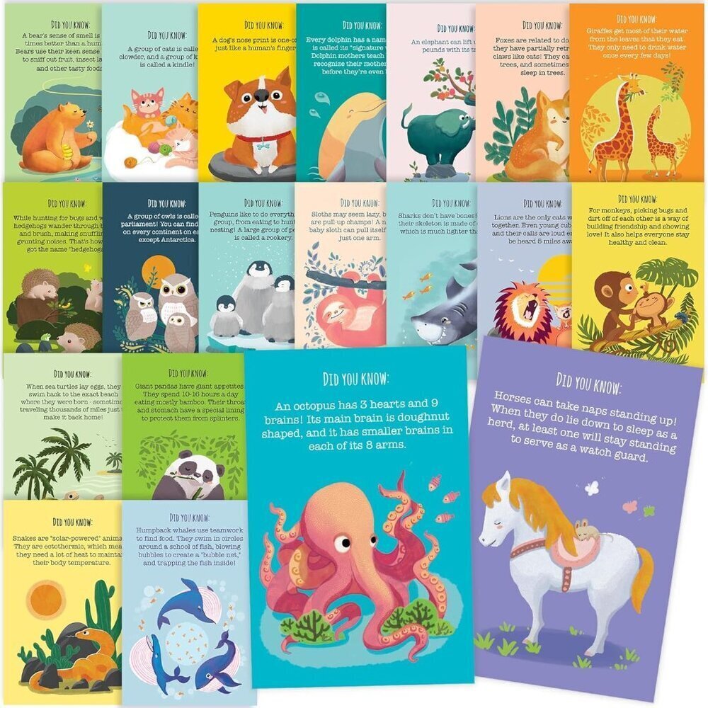 40 Animal Fun Fact Postcards Bulk Pack for Kids Student Friends & Teachers